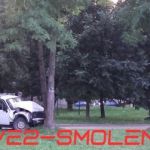 Видео: Водитель на «Ниве» несется в дерево