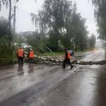 Видео: Под Смоленском сильный ветер повалил деревья и обесточил дома