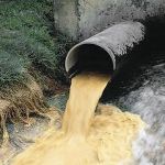 Руднянский МУП уличили в сбросе вредных сточных вод в реку