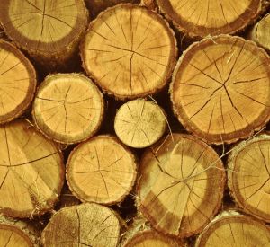 Пенсионер нарубил дров на уголовное дело