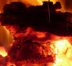В Вяземском районе огнем уничтожен деревянный дом