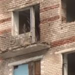 «Филиал ада»: Федеральный канал рассказал о смоленских семьях, живущих в заброшенной пятиэтажке (видео)