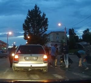 Видео: Автомобилист сбил собаку на дороге