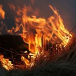 В Смоленской области огонь уничтожил полторы тонный сена