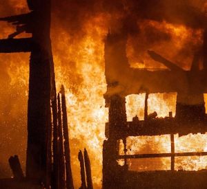 Огнеборцы смогли  спасти из горящей постройки кур