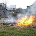 В Смоленской области из-за пала травы сгорел дом