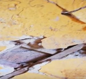 Видео: Смоляне вынуждены выживать в старом доме
