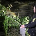 В Смоленской области раскрыли убийство пропавшего мужчины
