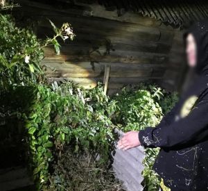 В Смоленской области раскрыли убийство пропавшего мужчины