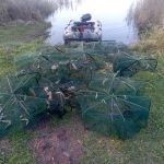 В Смоленской области рыбоохрана пресекла незаконный вылов раков