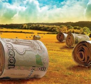 Смоленский аграрий нагрел бюджет на 11 миллионов рублей