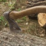 В Смоленской области незаконно рубили лес