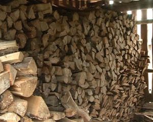 В лесничествах Смоленской области ведутся работы по заготовке древесины и дров для нужд населения