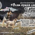 В Смоленске проведут благотворительную акцию в помощь бездомным животным