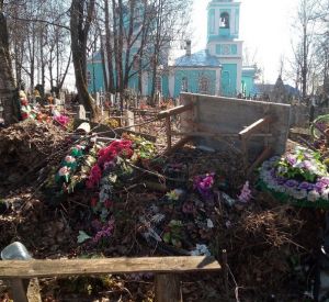 В Смоленской области обнаружили кладбище-свалку (фото)