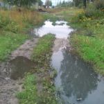 Жителей Смоленщины затопило канализационными водами (фото, видео)