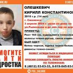 В Смоленске остановили поиски пропавшего ребенка