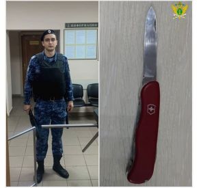 Жительница Смоленской области хотела пронести нож в зал суда