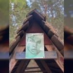 На могиле смоленского подростка Влада Бахова появится памятник