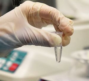 В областном центре откроют лабораторию для исследований на коронавирус