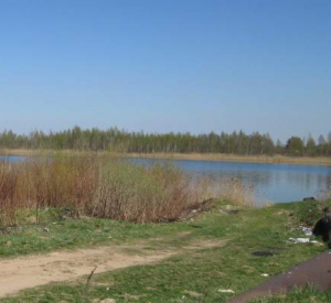 В Смоленской области отдыхающие вытащили двух девочек из речки