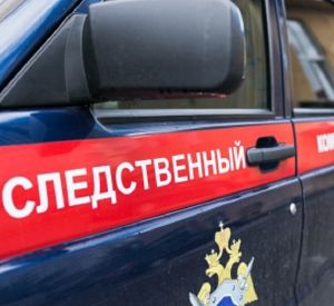 Александр Бастрыкин потребовал у смоленского СК повторный доклад о смерти 15-летнего ребенка