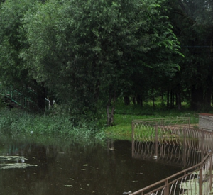 Фото: В Смоленской области реки выходят из берегов