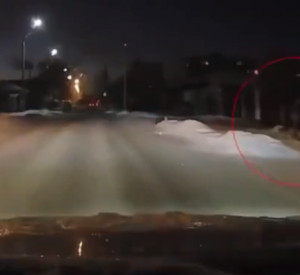 Под Смоленском водитель автомобиля спас ребенка от своры агрессивных собак (видео)