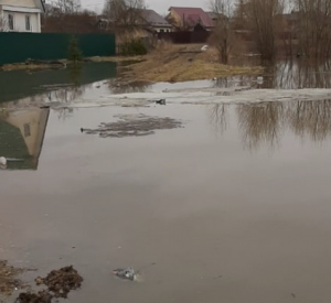 Фото: Под Смоленском из-за паводка затопило жилые дома