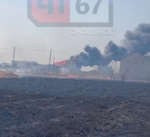 Видео: Под Смоленском из-за пала травы произошло два случая возгорания построек