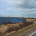 В Смоленской области 25 человек привлекли к ответственности за пал травы