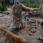 Видео: Ярцевчанка застряла в грязи возле собственного дома после благоустройства территории