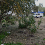 Жители Сафонова жалуются на мусор и грязь