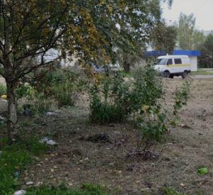 Жители Сафонова жалуются на мусор и грязь