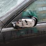 Неустановленные хулиганы в микрорайоне Королёвка побили автомобили