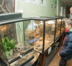 Смоленский зоопарк запустил акцию по сбору лакомства для своих подопечных