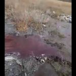 В Смоленской области на дороге появилась красная река