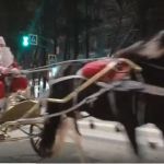 На дорогах Смоленска замечен Дед Мороз на карете (видео)