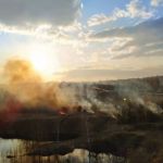 В России планируют увеличить штрафы за огонь в лесу и выжигание мусора рядом с лесополосой
