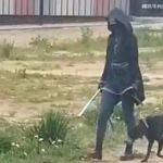 Смоляне спасли от гибели собаку, которой замотали скотчем пасть (видео)