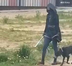 Смоляне спасли от гибели собаку, которой замотали скотчем пасть (видео)