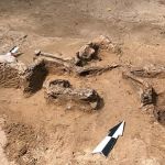 Под Смоленском в ходе раскопок археологи нашли подтверждение погребального обряда русов