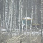 В национальном парке «Смоленское Поозерье» вновь зафиксировали вырубку леса