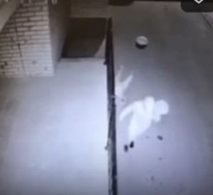 Камеры наблюдения сняли жестокое нападение на смолянку (видео)