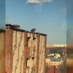 Видео: Пьяная парочка устроила любовные разборки на крыше «Чайника»