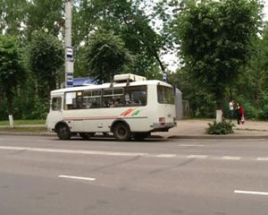 В Смоленске ребенок попал под колеса автомобиля, перебегая дорогу перед троллейбусом