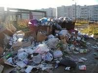 В Смоленске не справляются с уборкой мусора