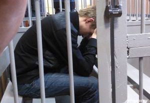 Группа родственников и друзей обвиняется в 27 кражах в Смоленской области