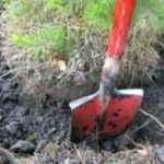 Под Смоленском подозреваемый в убийстве пытался закопать тело в огороде